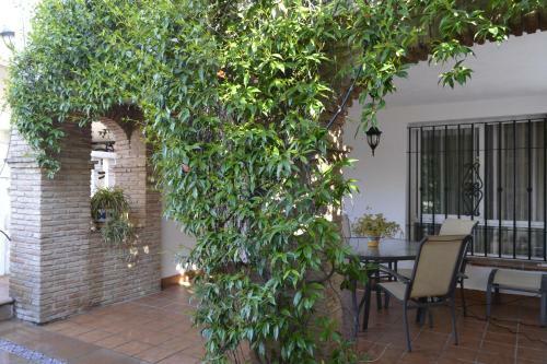 Apartamento El Librero de La Alhambra