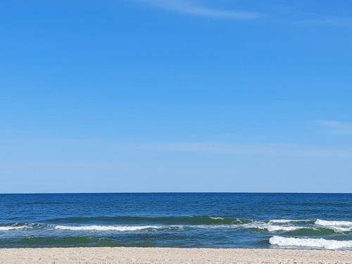 Apartament Books & Sun Maloves