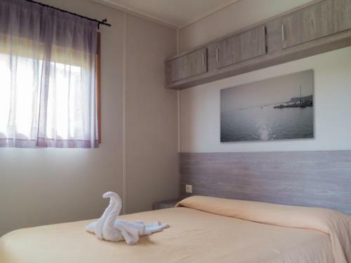 Camping & Bungalows Zumaia