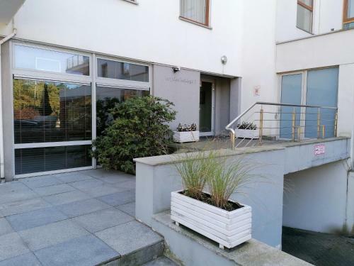 Family Homes - Apartamenty Maloves