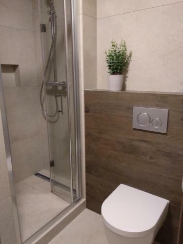 Apartament Zoom