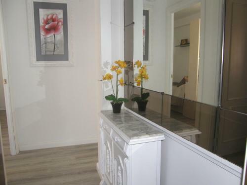Apartamento �tico Con Terraza En La Jota