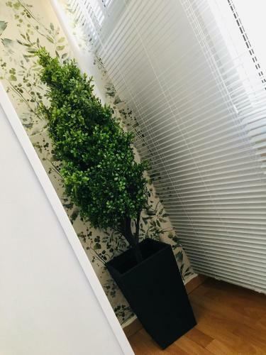 Apartamento Good Vibes