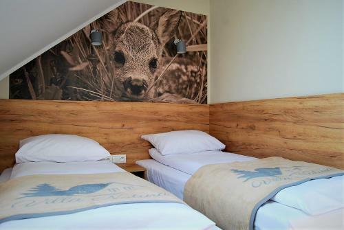 Bed & Breakfast Villa Natura Zator Przecisz�w