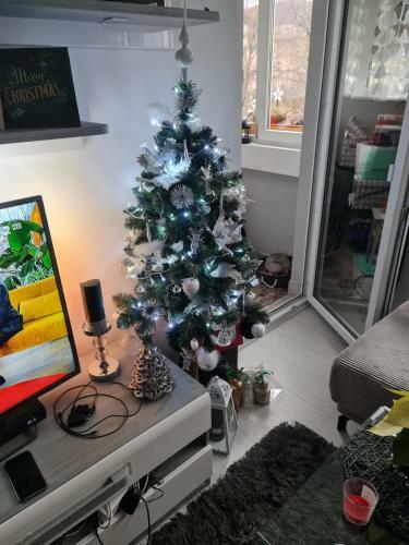 Apartament Przy Kopalni Z?ota