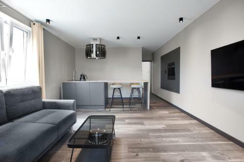 Apartament Antracytowy Dar?�wko