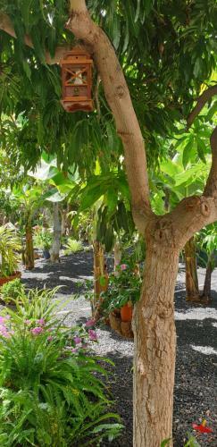 Apartamento Finca Borbolan Y La Roseta