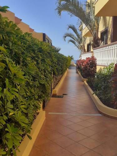 Apartamento Sunset House El Cieno 10a