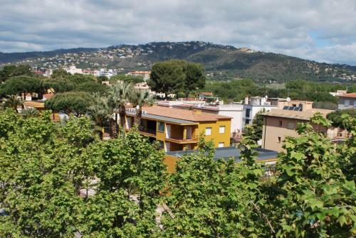 Apartamentos Les Palmeres