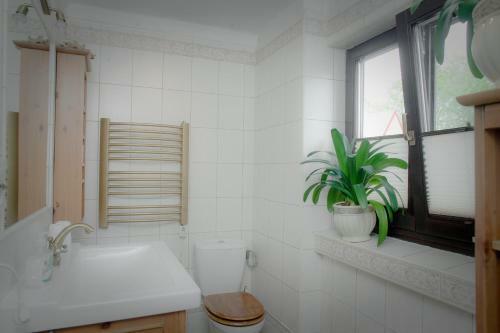 Apartamento Pokoje Go?cinne Mr�z Krystyna