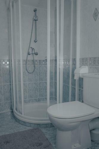 Apartamento Pokoje Go?cinne Mr�z Krystyna