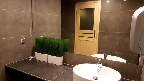 Rezydencja Tatry - Apartament Chamerion 1