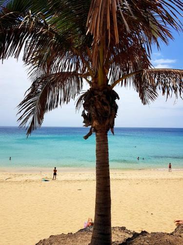 Apartamento Your Ocean Blue