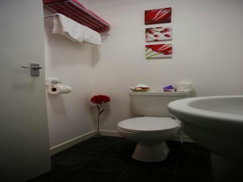 Bed & Breakfast Elderslie Guest House