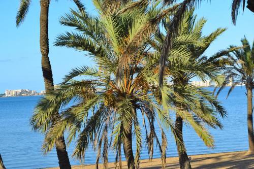 Mobil Home En Camping de La Manga