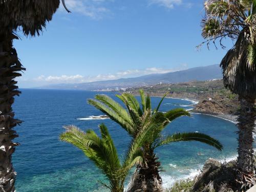 Villa Finca San Antonio