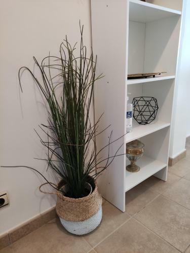 Apartment La Cala Design & Alamar Sea Wiew.