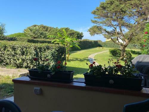 Pelosa - Capo Falcone Excellent Apartment