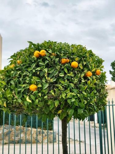 Apartamento Casa Rosi-10 Minute Walk To Beach