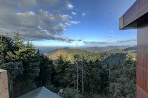 Hotel Tarika Resort & Spa - Chail