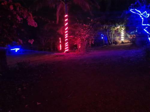 Savli Farms Camping And Adventures