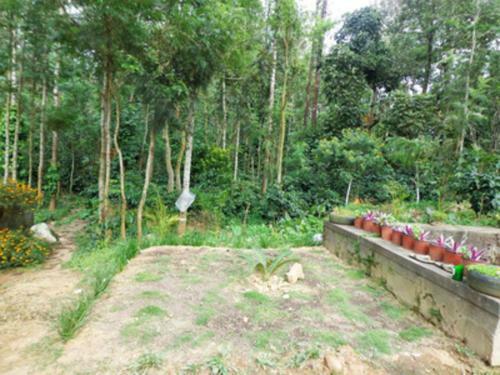Tripthrill Karemane Homestay