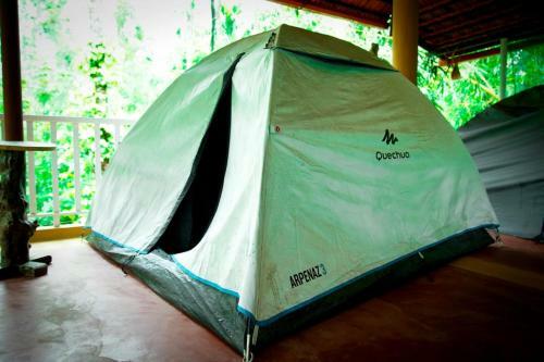 Lakeview Nest Homestay