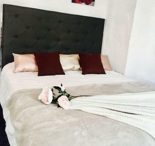 Apartamento Ocean View Triplex