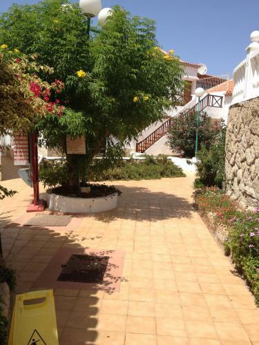 Apartamento Paraiso Royal Dany & Pina
