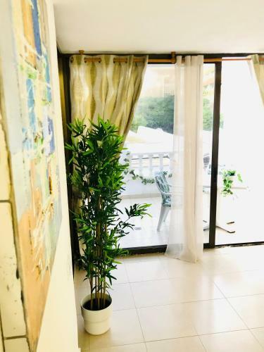 Apartamento Diki: La Casa Marina de Plata