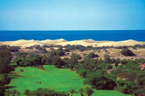 Pool View Yard Bungalow