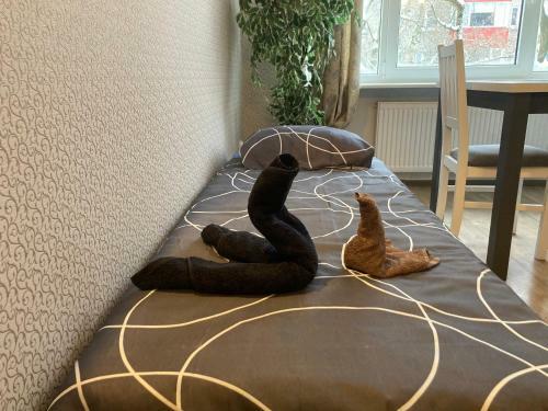 Apartamento Find For The Traveler