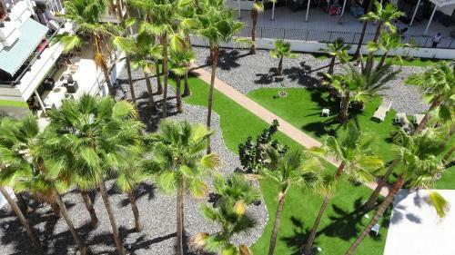 Coconut Friendly Apartment