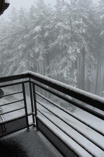 Apartman Frozen