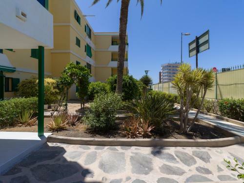 Apartamento Con Piscina En Maspalomas
