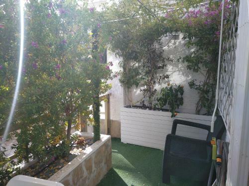 Espectacular Apartamento En Primera L�nea de Playa