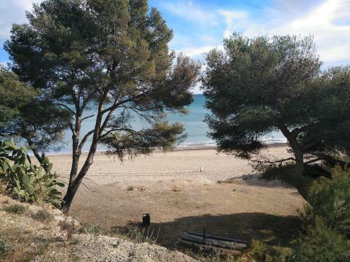 Espectacular Apartamento En Primera L�nea de Playa