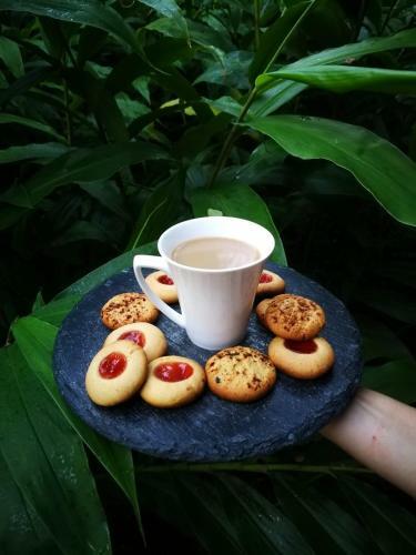 Bed & Breakfast La Ceiba Tree Lodge