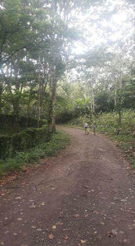 Bed & Breakfast Hostel Pacuare