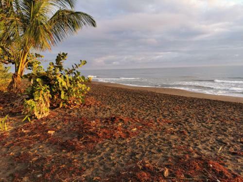 Bed & Breakfast Casa Caribe