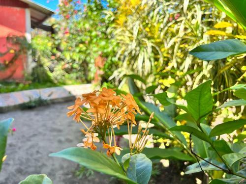 Hostal Natural Experience House