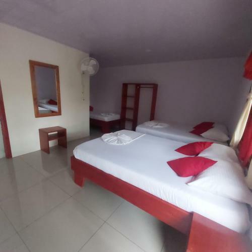 Posada Caba�as Daneysha Tortuguero
