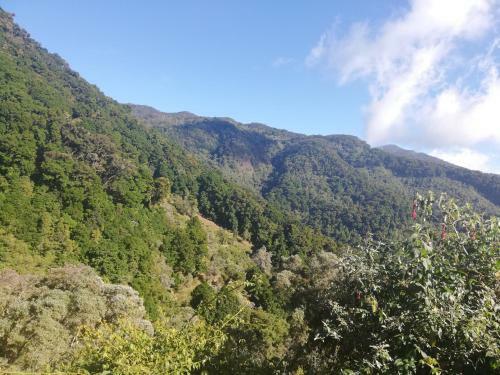 Apartamento Vista El Cerro Cabina Sangerardo