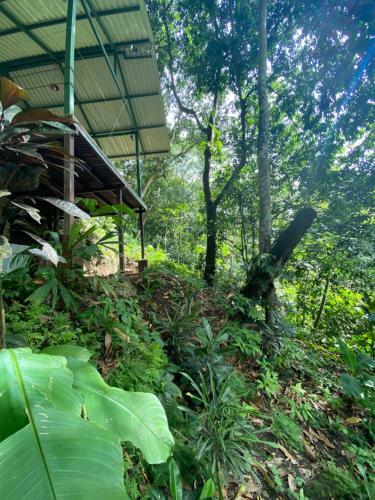 Bed & Breakfast La Monta�ita Lodge