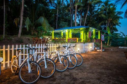 Dandeli Packages