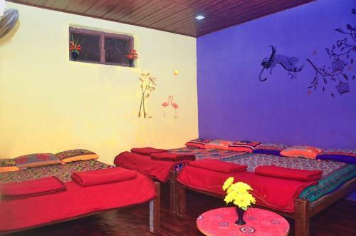 Dandeli Jungle Homestay
