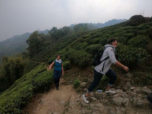 Travellers Homestay-offbeat Destination