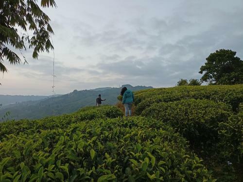 Theeng's Homestay(Mirik)