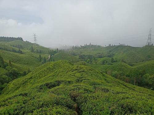 Theeng's Homestay(Mirik)