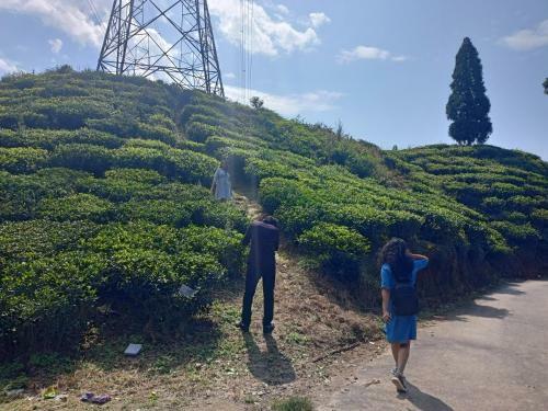 Theeng's Homestay(Mirik)